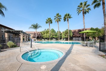 Pool Area, large pool and spa, large deck, tables chairs and umbrellas, palm trees, community building