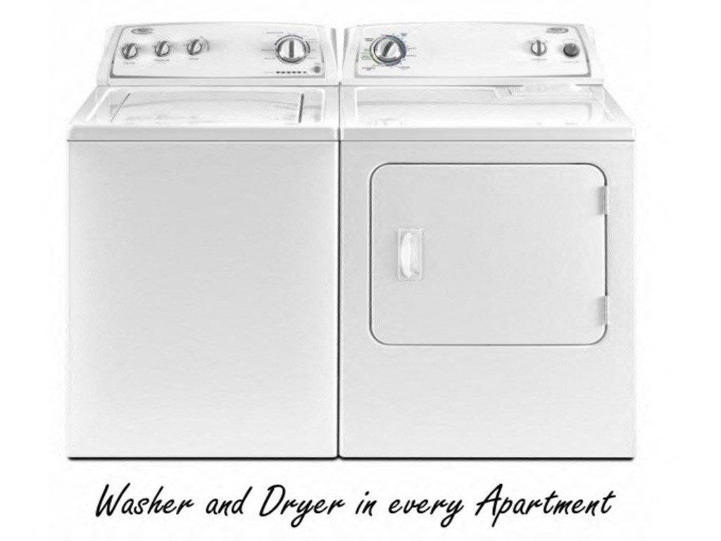 Full Size Washer Dryer in every unit