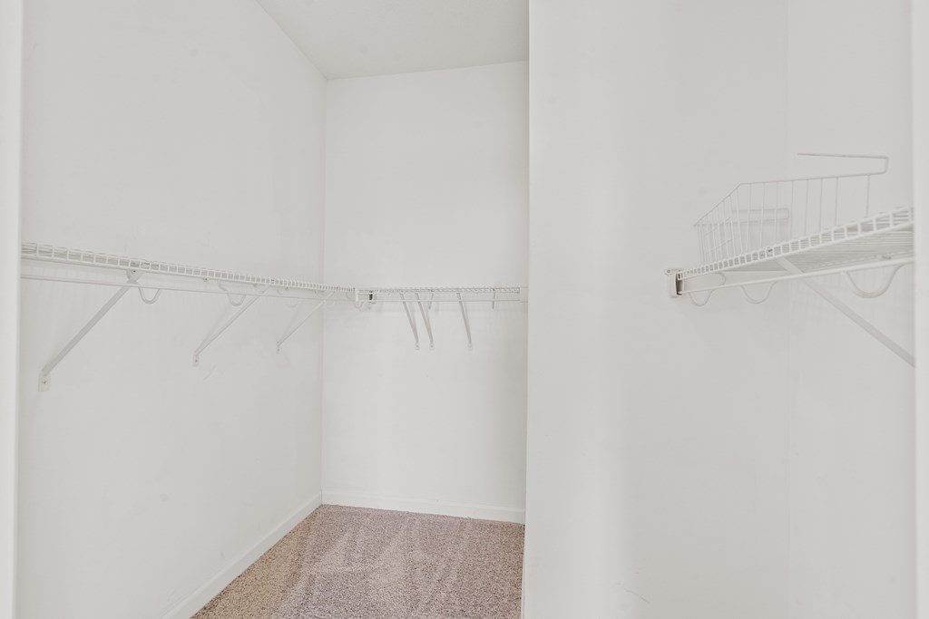 A white room with a carpet and two shelves.