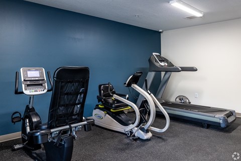 A gym with a treadmill, a stationary bike, and a rowing machine.