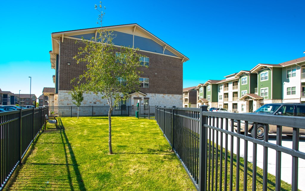 a yard with a tree and a fence in front of an apartment building