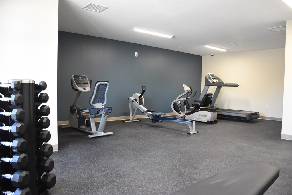 A gym with a row of dumbbells on the left and a row of treadmills and exercise bikes on the right.