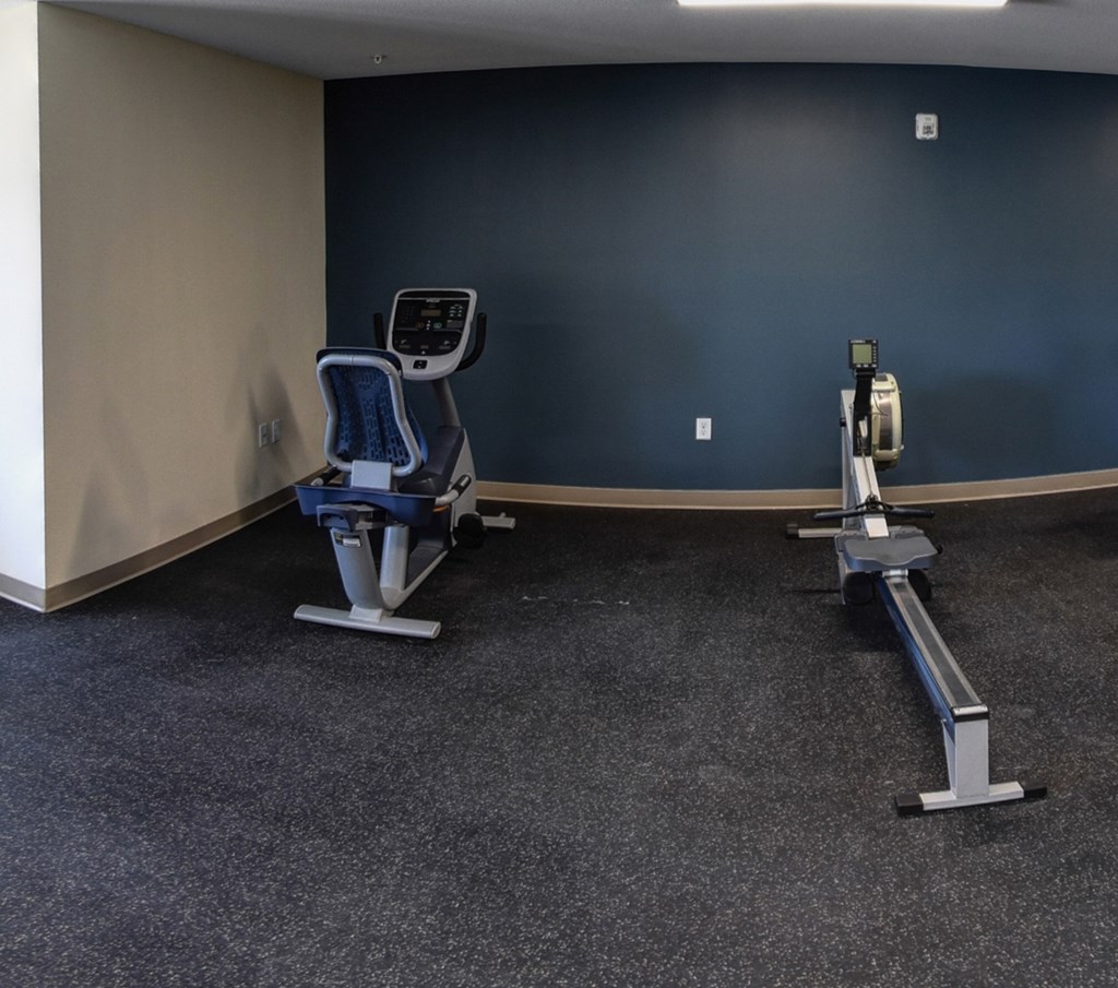 A gym with a treadmill and a rowing machine.