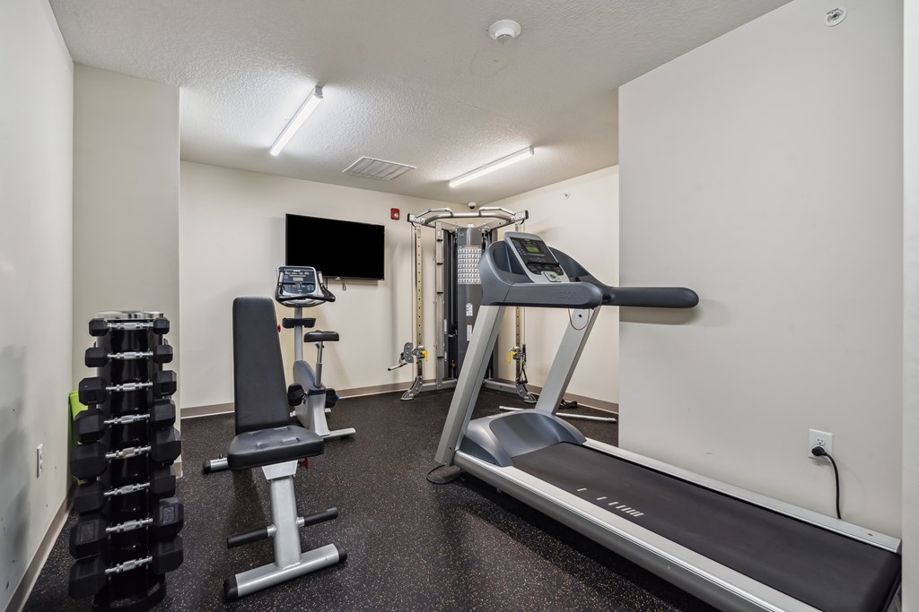 A well-equipped gym with a treadmill, weights, and exercise equipment.