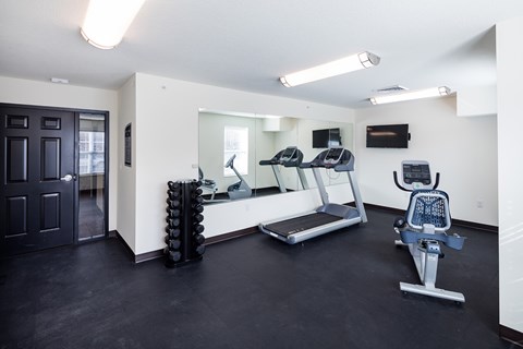 A gym with a treadmill, a rowing machine and a stationary bike.