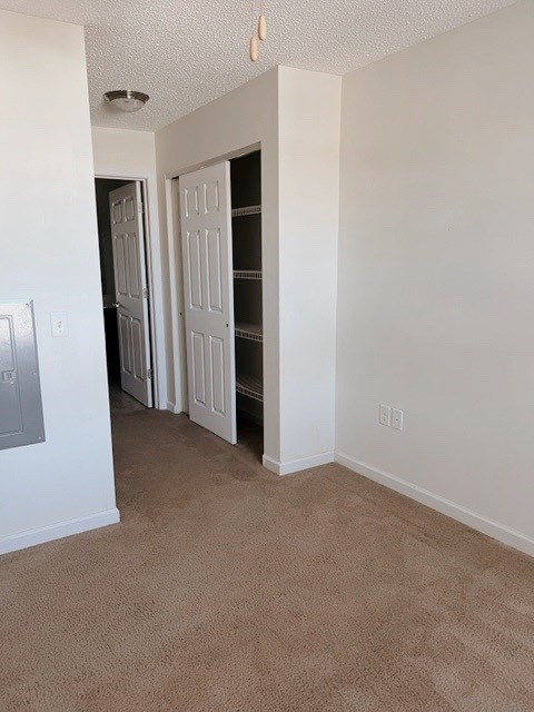 A room with a carpeted floor and a white door.