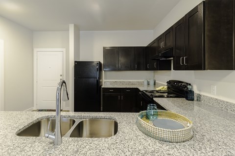 A kitchen with a sink and black cabinets.