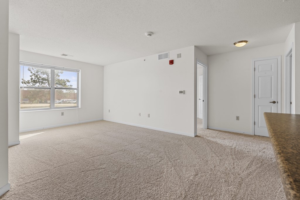 A large, empty room with a carpeted floor and a window.