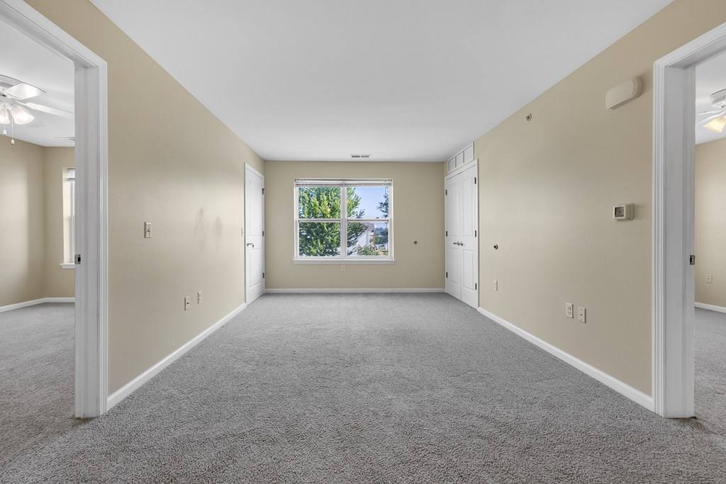 A room with a carpeted floor and a window showing greenery outside.