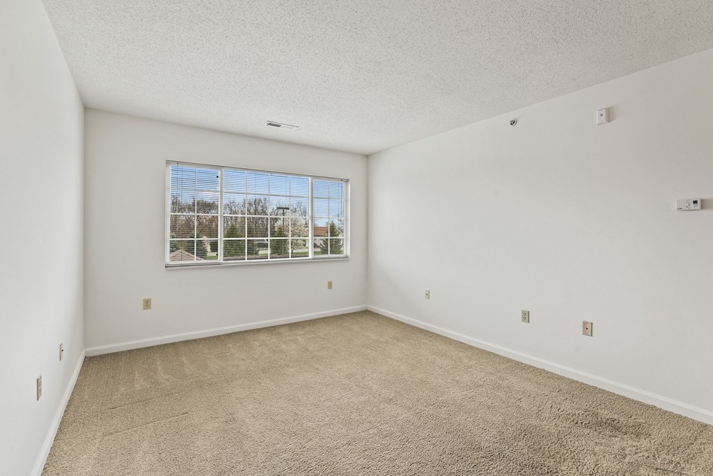 Empty room with carpeted floor and a window.