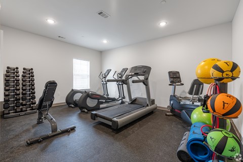 A well-equipped gym with treadmills, weights, and exercise balls.