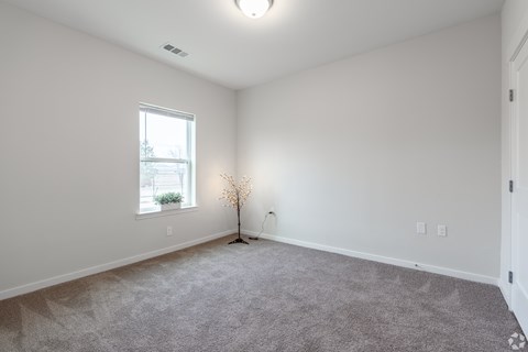 A room with a grey carpet and a small tree in the corner.