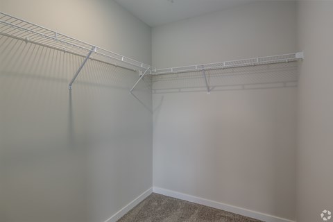 Empty room with a white wall and a grey carpet.