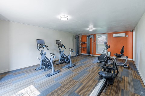 A gym with a row of exercise bikes.