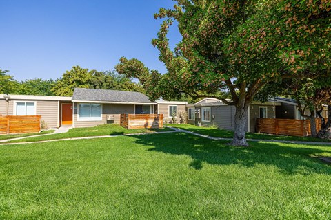 A row of houses with green lawns and trees in front.
