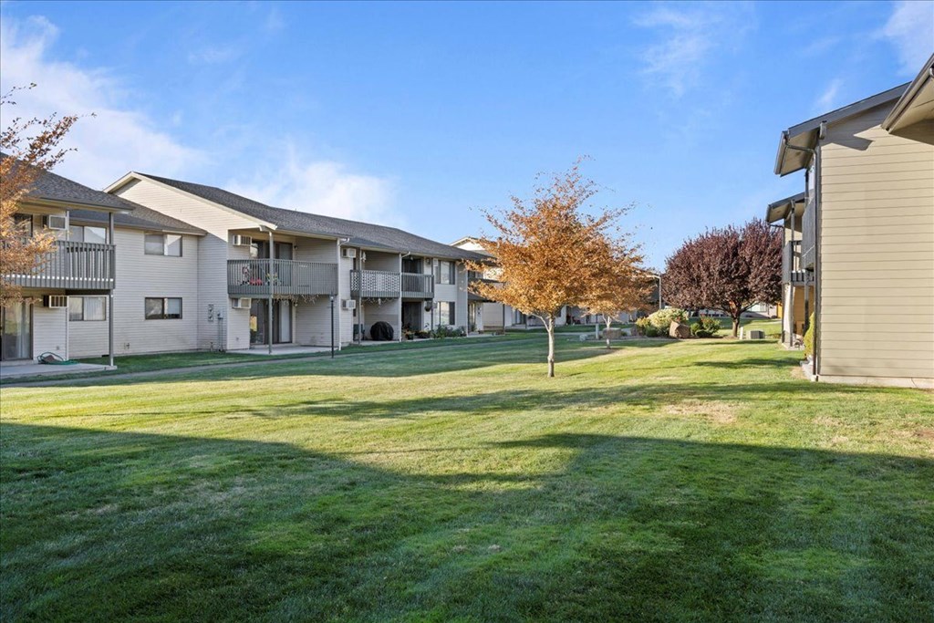 Large green grass courtyard with orange trees in the center of the community. at Brix, Washington