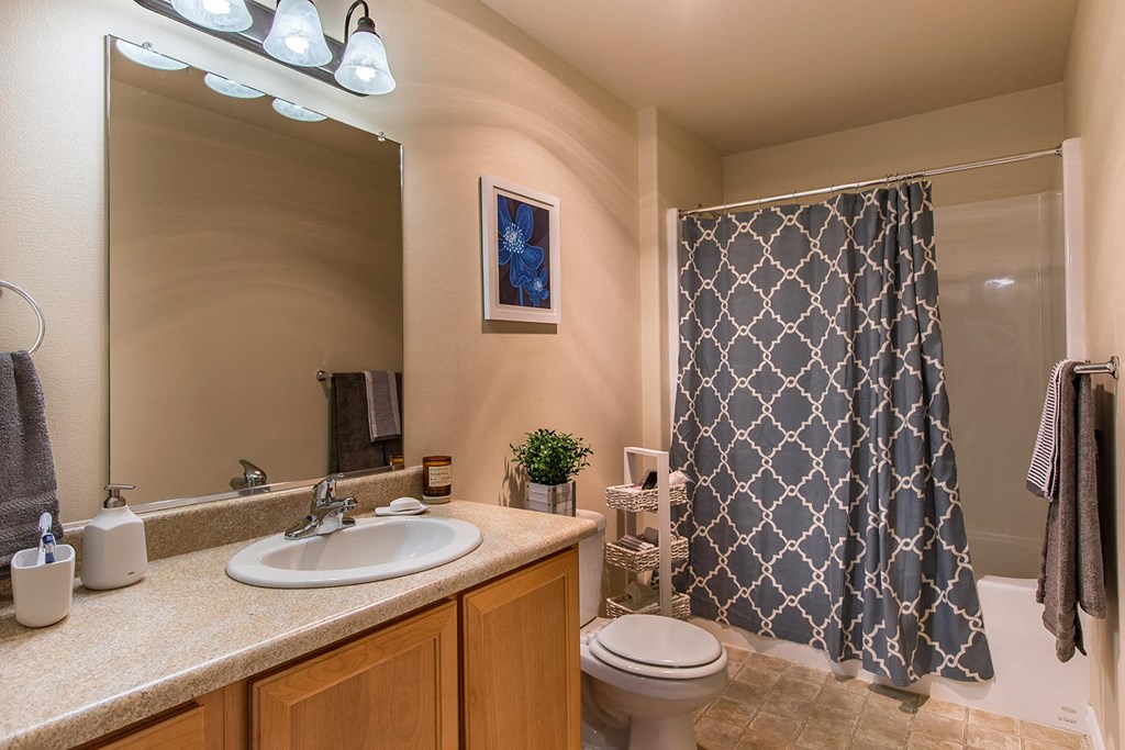 a bathroom with a sink toilet and a shower  at Quail Springs, Washington, 99353