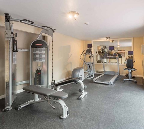 a gym with weights and cardio equipment in a home gym at Quartz Creek, Mountlake Terrace