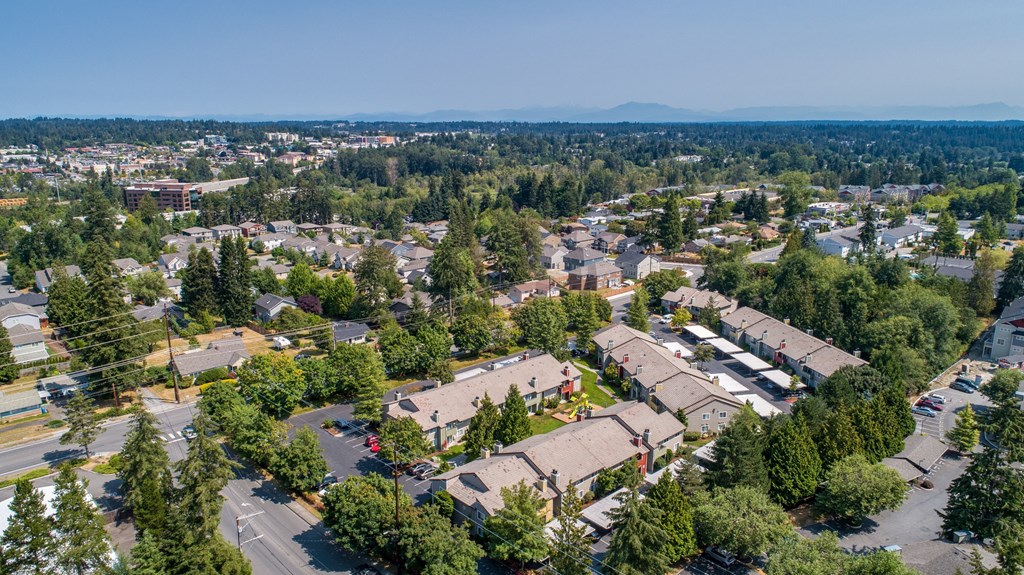 an aerial view of a neighborhood with houses and trees at Quartz Creek, Mountlake Terrace