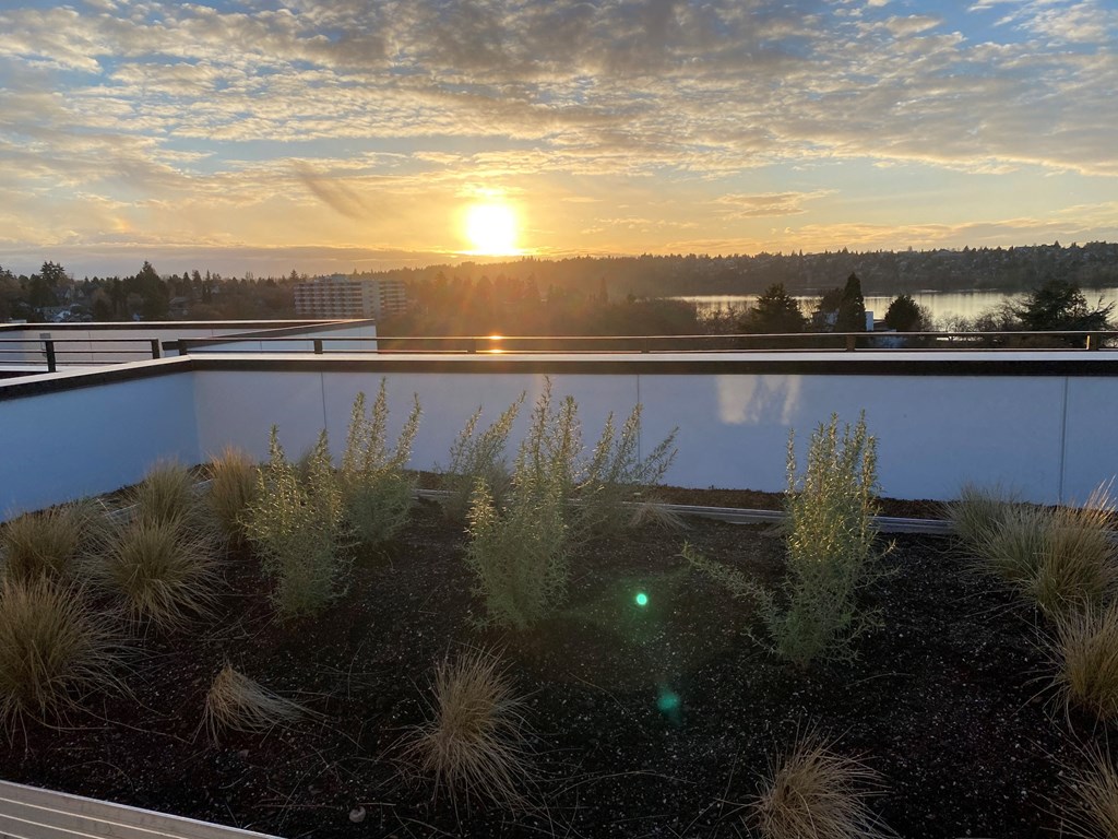 the sunrise or sunset as seen from the roof of a building at The Loop at Green Lake, Seattle, WA