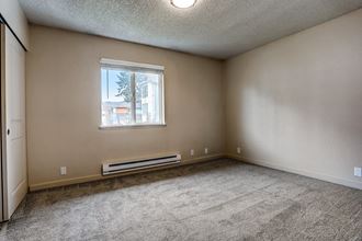 an empty living room with carpet and a window