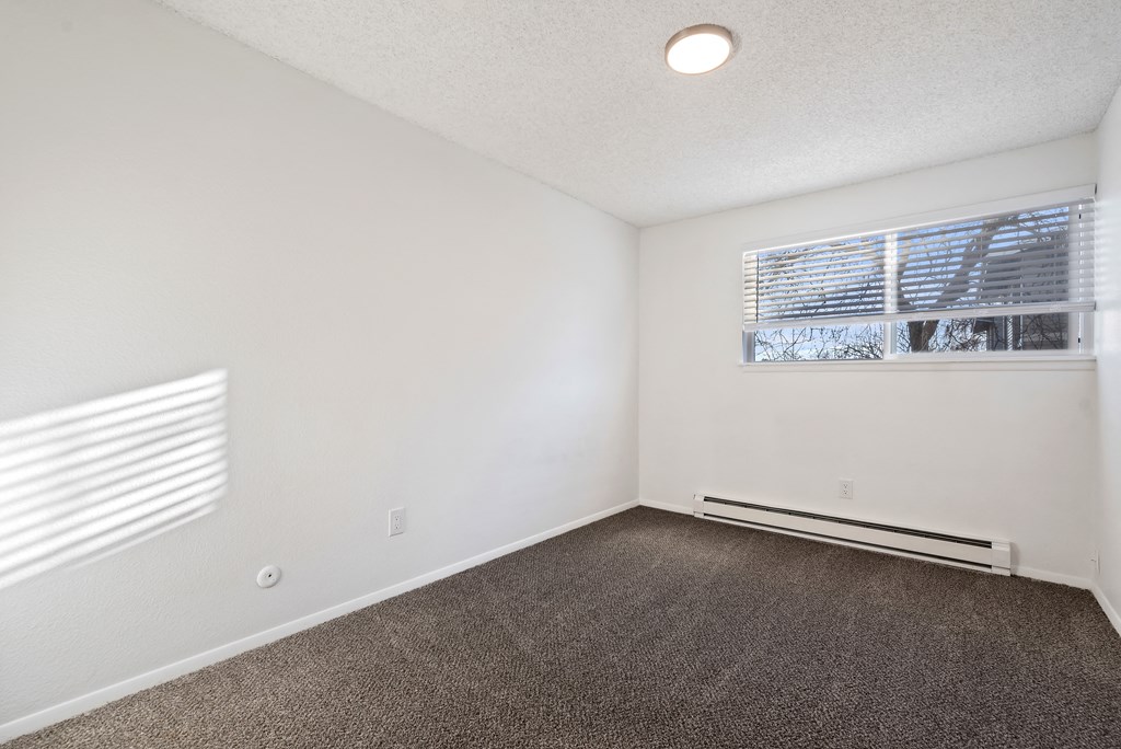 an empty living room with carpet and a window