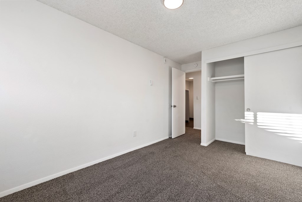 a spacious living room with carpeting and a door to a closet