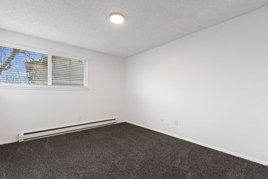 an empty room with carpet and a window