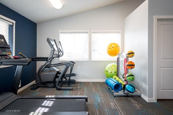 Fitness center with white walls and one dark blue accent wall. An elliptical machine, treadmill and stand with exercise balls and yoga mats are visible. - Photo Gallery 9