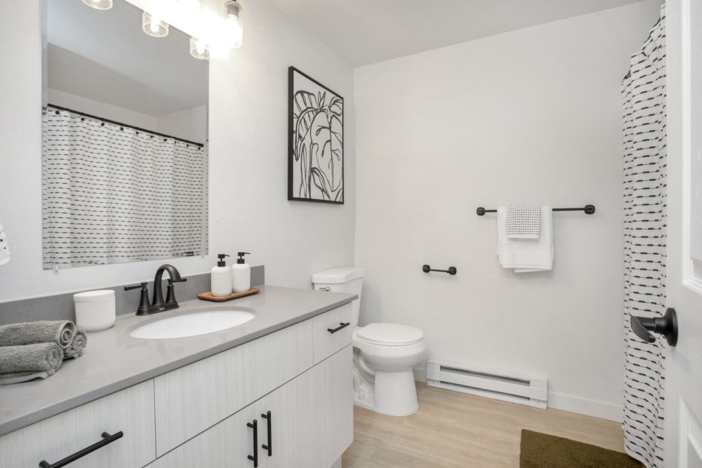 a bathroom with a sink and a toilet and a mirror at Brix, Walla Walla, WA, 99362
