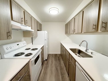 Double galley kitchen with oven, stovetop, fridge, sink, and dishwasher with a pass through window to the dining area.
