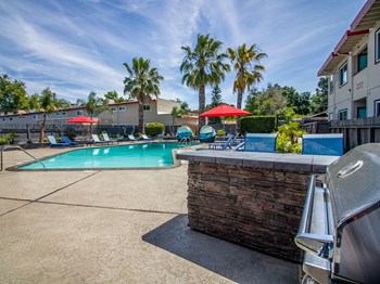 Woodland Village pool and BBQ with stone countertop looking out to pool and palm trees. - Photo Gallery 2