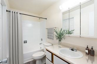 Full bathroom with sink, cabinet storage, toilet, shower and staged with towels, soap and shower curtain. - Photo Gallery 4