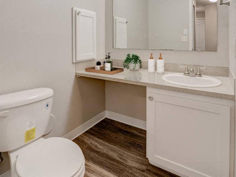 A bathroom with wood-like flooring, a vanity sink, a mirror, and a toilet. at Pointe East, Fife, WA