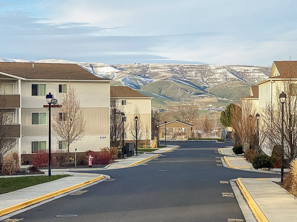 Paved road lined with trees with snowy mountains in the background in Lewiston, ID.