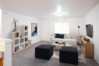 Bright living room with taupe carpet, white walls and door and window at opposite end.