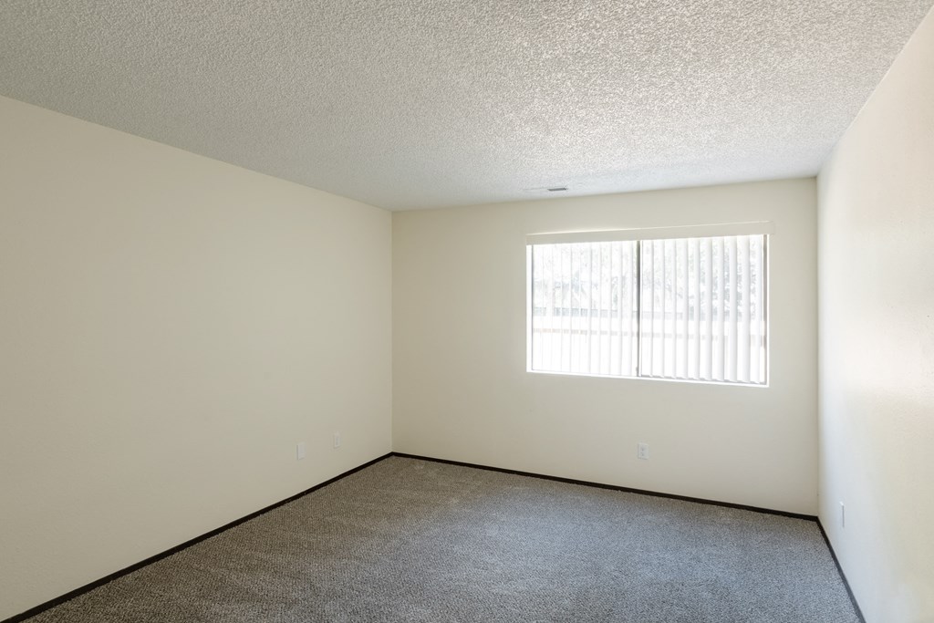 the spacious living room of an apartment with carpet and a window