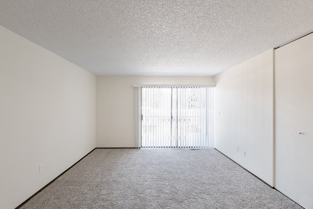 the spacious living room of our apartments offering a large window and white walls