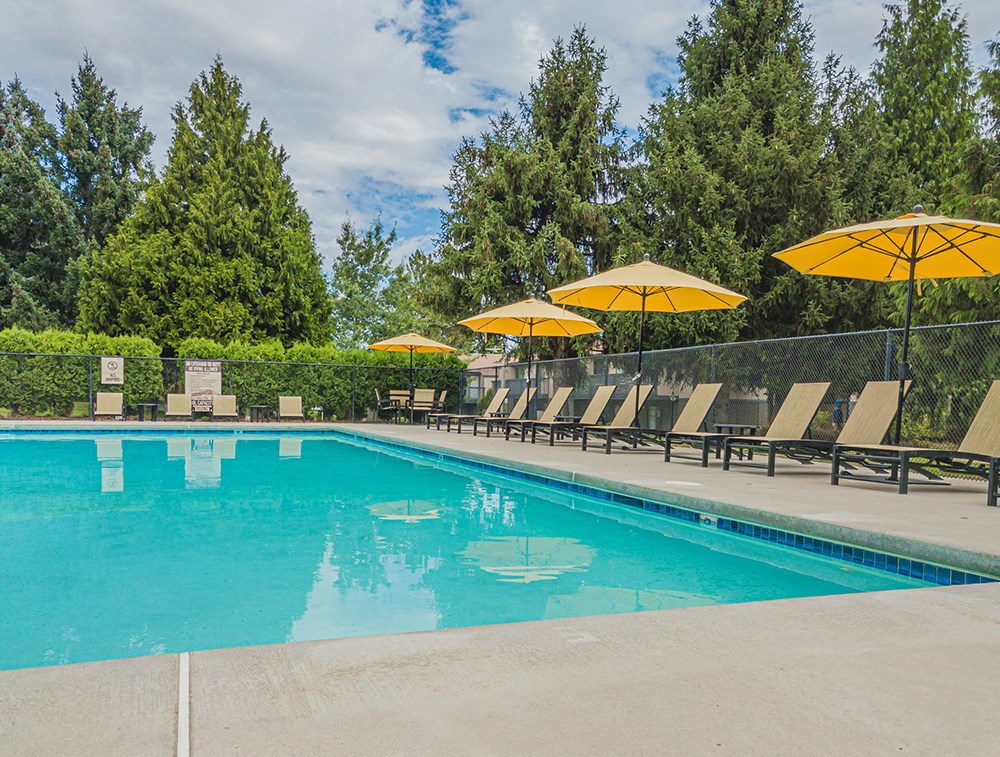 Outdoor pool with plenty of lounge chairs and yellow umbrellas.at Cedarwood, Washington