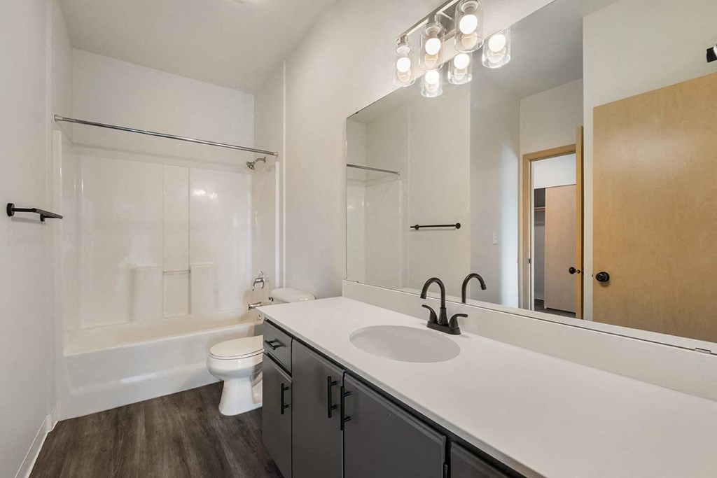 a bathroom with an oversized vanity sink, under-sink cabinet storage and a toilet and shower.at Shoreline Village, Richland, WA