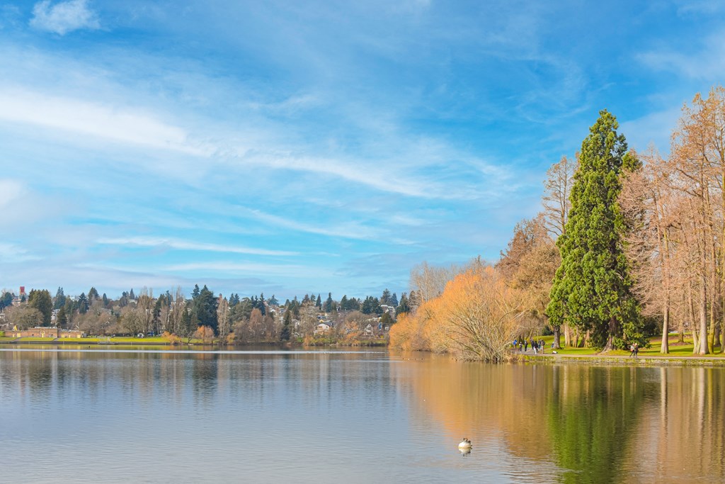 a lake in a park with trees and a duck on it