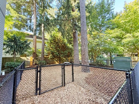 An enclosed dog park at 6Wood Flats Apartments in Lacey, WA.