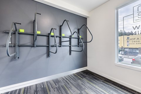 A wall of pull up bars in a gym.