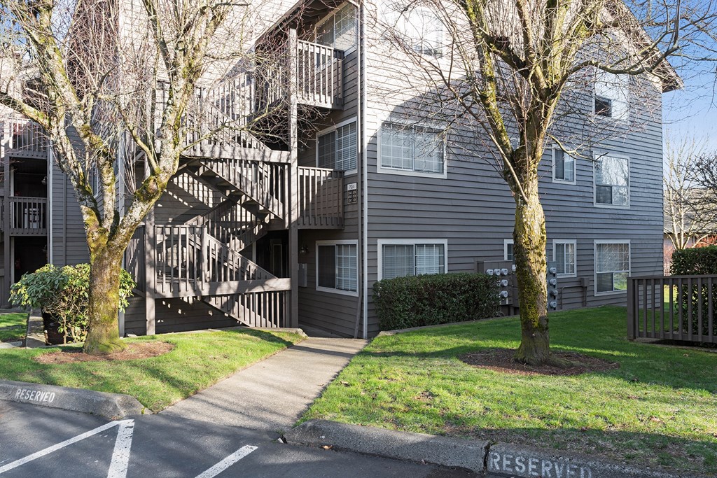 Sidewalk with two large trees and grass on each side, entering gray painted wood stairs leading to apartment homes.at Capitol Crossing, Olympia