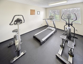 Fitness center with a stationary bike, treadmill, and elliptical with window views of nature. - Photo Gallery 7