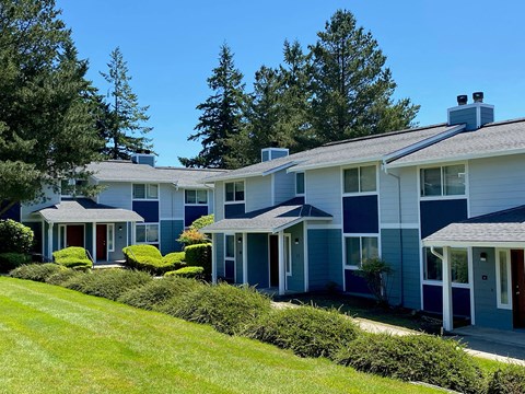Townhome exterior with blue accents, well-manicured grass, green hedges, patios, and large trees behind. at Hawks Prairie, Olympia, Washington