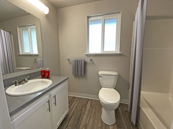 Full bathroom, vanity sink, large mirror, towel rack, toilet with window above, shower, and gray shower curtain. - Photo Gallery 10