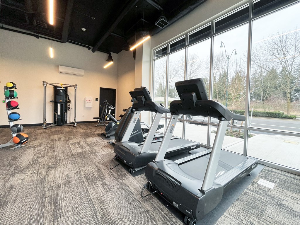 a gym with cardio equipment and a large window at The Duo, Washington