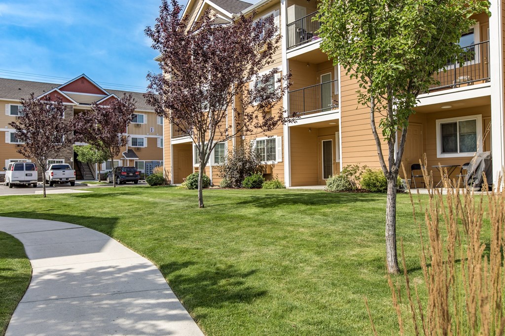 our apartments have a spacious courtyard with grass and trees