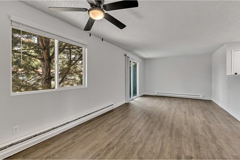 A room with a ceiling fan and a window showing trees outside.